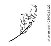 Black and white willow tree branch line vector illustration for Sukkot species celebration. Fresh foliage weeping botanical willow twig for floral designs. Elegant ink sketch