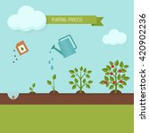 planting process infographic.... | Shutterstock .eps vector #420902236