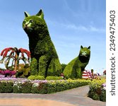 Small photo of Dubai Miracle Garden is world's largest natural flower garden, 150 million flowers of different varieties and is the top tourist, unique display and extravagant outdoor recreational destination