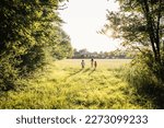 wide angle view of three children running towards open field