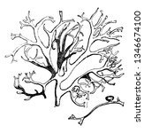 an image of tree moss bearing a ... | Shutterstock .eps vector #1346674100