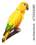 Yellow Brazilian Parrot Drawing ...