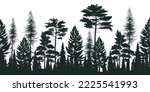 Silhouette Pine Forest With...