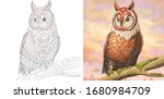 adult coloring book. owl bird.... | Shutterstock .eps vector #1680984709