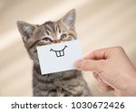 Funny cat with smile on...