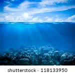 Underwater Coral Reef Seabed...