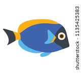  Indo Pacific Surgeonfish Is...
