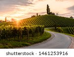 Asphalt road leading through country side of south Austrian Vineyards in south styria. Sunset view at grape hills.