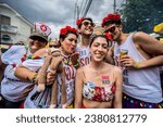 Small photo of Sao Paulo SP February 05 2019 Revellers take part in an annual block party during carnival festivities in Sao Paulo, Brazil, February 05, 2019.