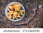 Small photo of Chanterelles mushrooms in a bowl along with forest berries (blueberry, lingonberry). On a stump covered with fallen pine needles. Foraging on natural ingredients in a wood.