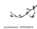 leaf on black and white... | Shutterstock . vector #395056870
