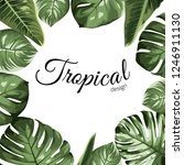 tropical vector design border... | Shutterstock .eps vector #1246911130