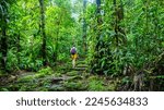 girl photographer walks through dense Costa Rican tropical rainforest; hiking through the jungle in Costa Rica