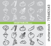 web icons set   vegetables | Shutterstock .eps vector #755682163