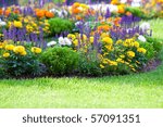 Multicolored Flowerbed On A...