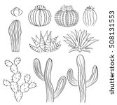 Hand Drawn Cactus Set. Cacti ...