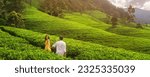 Small photo of Aerial Drone View of nature's background tea plantations landscape in the mountains with a romantic walking couple of travelers. Famous touristic place in Sri Lanka
