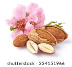Almonds with pink flowers