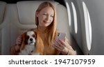 Small photo of Beautiful rich woman with dog using smartphone in first class plane. Portrait of elegant wealthy lady stroking cocker spaniel and surfing internet on mobile phone in private jet