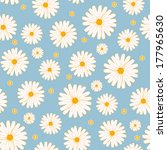 seamless daisies vector pattern  | Shutterstock .eps vector #177965630