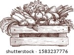 wooden box with vegetables... | Shutterstock .eps vector #1583237776