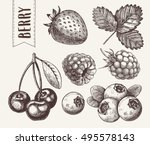 Hand Drawn Sketch Style Berries ...