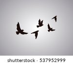 Vector silhouette flying birds on white background. Tattoo