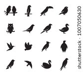 Birds Icon Set