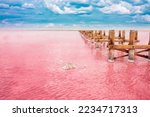 The pink lake is a beautiful...