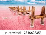 Small photo of The pink lake is a beautiful landscape, unusual nature. A unique rare natural phenomenon. Salt lake with pink algae. Beautiful landscape.