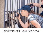 Small photo of Dog in an enclosure at an animal shelter. Large dogs behind bars in cages. An animal welfare volunteer takes care of homeless animals at a shelter.