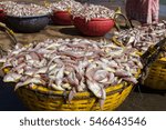 Small photo of Fish Day. Preparing fish to be transported