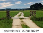 Small photo of A twisty country road, lined with wooden fences, winds into the distance.