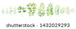 green leaves set isolated on... | Shutterstock .eps vector #1432029293