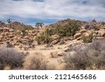 Small photo of Joshua Tree National Park, CA, USA - January 31, 2022: Sandy Desert floor with dry bushes in front of dispersed beige rocks and hills like heaps of rocks. A few of the namesake cacti.