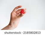 Female hand gently holding one ripe red raspberry against white background; isolated.
