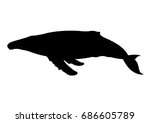 Whale Silhouette Vector...