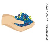 forest berry handful vector... | Shutterstock .eps vector #2076424990