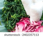 Small photo of pecel or traditional Indonesian food contains boiled torch ginger (Etlingera Elatior), boiled spinach, boiled kenikir plant (cosmos caudatus), boiled water spinach and rice cake. vegetable salad