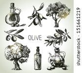 Hand Drawn Olive Set 