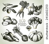 hand drawn sketch vegetable set.... | Shutterstock .eps vector #241602253