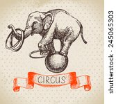 Hand Drawn Sketch Circus And...