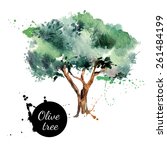 Olive Tree Vector Illustration. ...