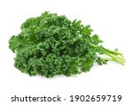 Kale Leaf Salad Vegetable...