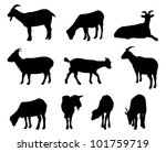 Collection Of Vector Goat...