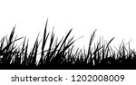 vector grass isolated on white... | Shutterstock .eps vector #1202008009