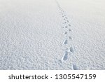 Fresh human boots footprints in white, fresh snow. Sunny, chilly winter day. Empty place for text, quote or sayings.