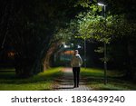 Young alone woman in white jacket walking on sidewalk through alley of trees under lamp light in autumn night. Spending time alone in nature. Peaceful atmosphere. Back view.
