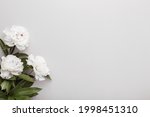 Fresh white peony flowers on light gray table background. Empty place for emotional, sentimental text, quote or sayings. Closeup.