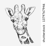 Giraffe Sketch. Hand Drawn...